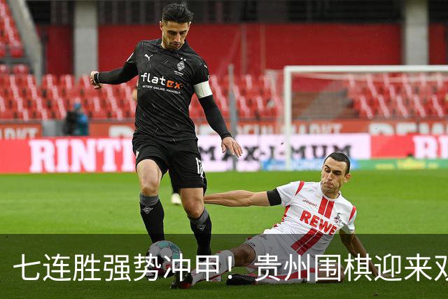 七连胜强势冲甲！贵州围棋迎来"双花并蒂"新局面