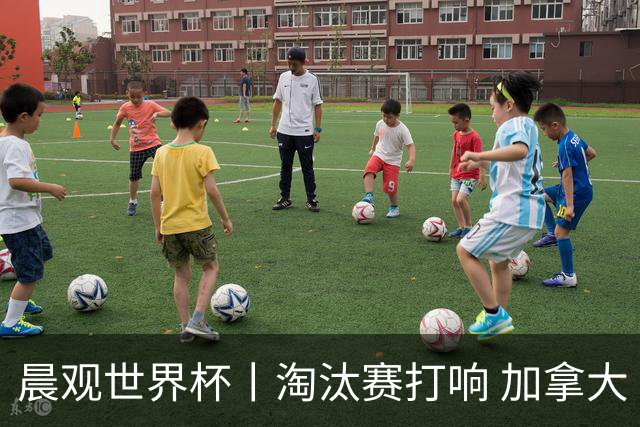 晨观世界杯丨淘汰赛打响 加拿大“绝杀”首进16强